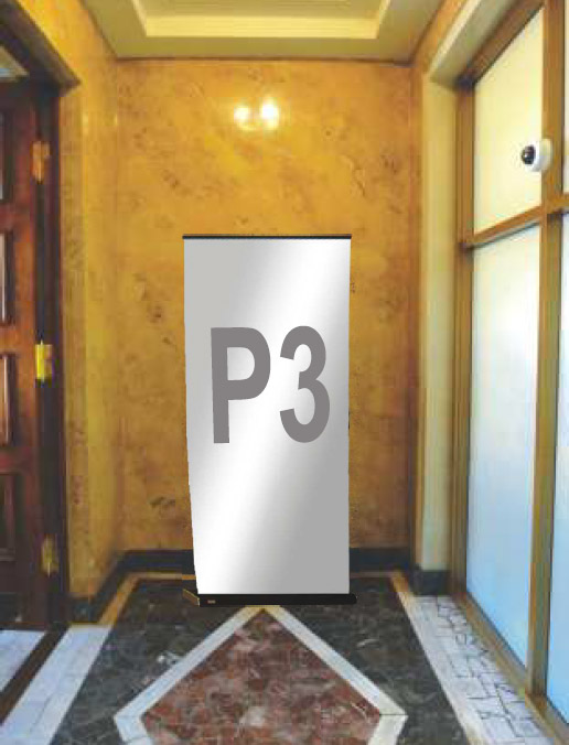 P3